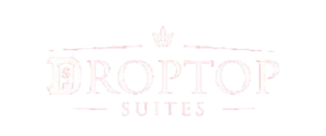 droptop suites logo (2)