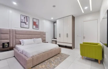 Luxurious 2-Bedroom Apartment in Ikate, Lekki